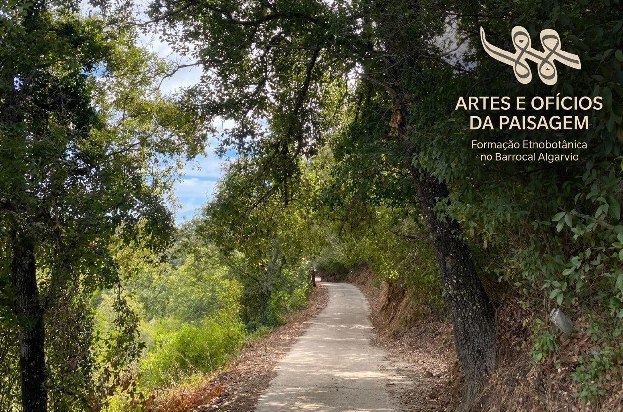 Etnobotânica do Barrocal: Paisagem, plantas e usos