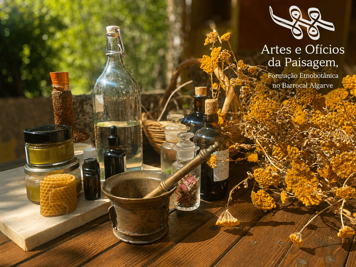 Etnobotânica do Barrocal: Plantas locais para bem-estar, cosmética natural e rituais